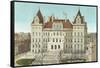 State Capitol, Albany-null-Framed Stretched Canvas