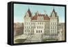 State Capitol, Albany-null-Framed Stretched Canvas