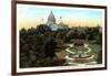 State Capitol and Park, St. Paul, Minnesota-null-Framed Art Print