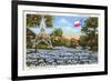 State Capitol, Austin, Texas, Blue Bonnets-null-Framed Art Print