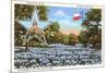 State Capitol, Austin, Texas, Blue Bonnets-null-Mounted Art Print
