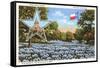 State Capitol, Austin, Texas, Blue Bonnets-null-Framed Stretched Canvas