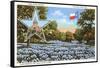 State Capitol, Austin, Texas, Blue Bonnets-null-Framed Stretched Canvas