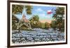 State Capitol, Austin, Texas, Blue Bonnets-null-Framed Art Print