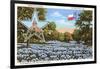 State Capitol, Austin, Texas, Blue Bonnets-null-Framed Art Print