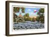 State Capitol, Austin, Texas, Blue Bonnets-null-Framed Art Print