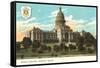 State Capitol, Austin, Texas-null-Framed Stretched Canvas