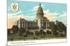 State Capitol, Austin, Texas-null-Mounted Premium Giclee Print