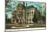 State Capitol, Boise, Idaho-null-Mounted Art Print