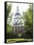 State Capitol Building, Annapolis, Maryland, United States of America, North America-Robert Harding-Framed Stretched Canvas