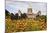 State Capitol Building in Des Moines-benkrut-Mounted Photographic Print