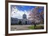 State Capitol Building, Salem, Oregon, USA-Rick A^ Brown-Framed Photographic Print