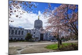 State Capitol Building, Salem, Oregon, USA-Rick A^ Brown-Mounted Photographic Print