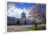 State Capitol Building, Salem, Oregon, USA-Rick A^ Brown-Framed Photographic Print