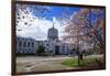 State Capitol Building, Salem, Oregon, USA-Rick A^ Brown-Framed Photographic Print