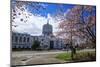 State Capitol Building, Salem, Oregon, USA-Rick A^ Brown-Mounted Photographic Print