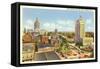 State Capitol, City Hall, Atlanta, Georgia-null-Framed Stretched Canvas