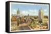 State Capitol, City Hall, Atlanta, Georgia-null-Framed Stretched Canvas