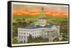 State Capitol, Columbia, South Carolina-null-Framed Stretched Canvas