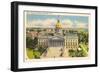 State Capitol, Columbia, South Carolina-null-Framed Art Print