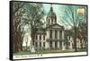 State Capitol, Concord, New Hampshire-null-Framed Stretched Canvas