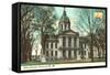 State Capitol, Concord, New Hampshire-null-Framed Stretched Canvas