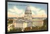 State Capitol, Madison, Wisconsin-null-Framed Art Print