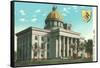 State Capitol, Montgomery, Alabama,-null-Framed Stretched Canvas