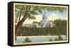 State Capitol, Olympia, Washington-null-Framed Stretched Canvas