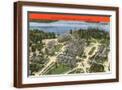 Brown Frame