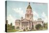 State Capitol, Springfield, Illinois-null-Stretched Canvas