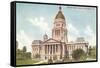 State Capitol, Springfield, Illinois-null-Framed Stretched Canvas