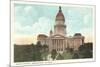 State Capitol, Springfield, Illinois-null-Mounted Premium Giclee Print
