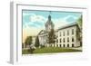 State Capitol, Tallahassee, Florida-null-Framed Art Print