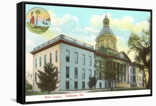 State Capitol, Tallahassee, Florida-null-Framed Stretched Canvas