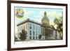 State Capitol, Tallahassee, Florida-null-Framed Premium Giclee Print