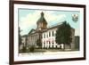 State Capitol, Tallahassee, Florida-null-Framed Premium Giclee Print