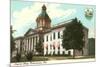 State Capitol, Tallahassee, Florida-null-Mounted Art Print