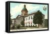 State Capitol, Tallahassee, Florida-null-Framed Stretched Canvas