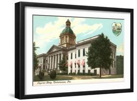 State Capitol, Tallahassee, Florida-null-Framed Art Print