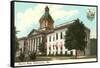 State Capitol, Tallahassee, Florida-null-Framed Stretched Canvas