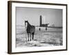 State Capitol-John Vachon-Framed Photographic Print