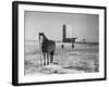 State Capitol-John Vachon-Framed Photographic Print