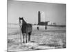 State Capitol-John Vachon-Mounted Photographic Print