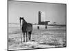 State Capitol-John Vachon-Mounted Photographic Print