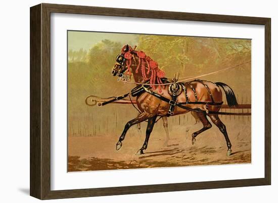 State Carriage Horse-Samuel Sidney-Framed Art Print