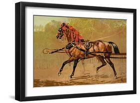 State Carriage Horse-Samuel Sidney-Framed Art Print