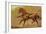 State Carriage Horse-Samuel Sidney-Framed Art Print