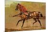 State Carriage Horse-Samuel Sidney-Mounted Art Print