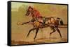 State Carriage Horse-Samuel Sidney-Framed Stretched Canvas